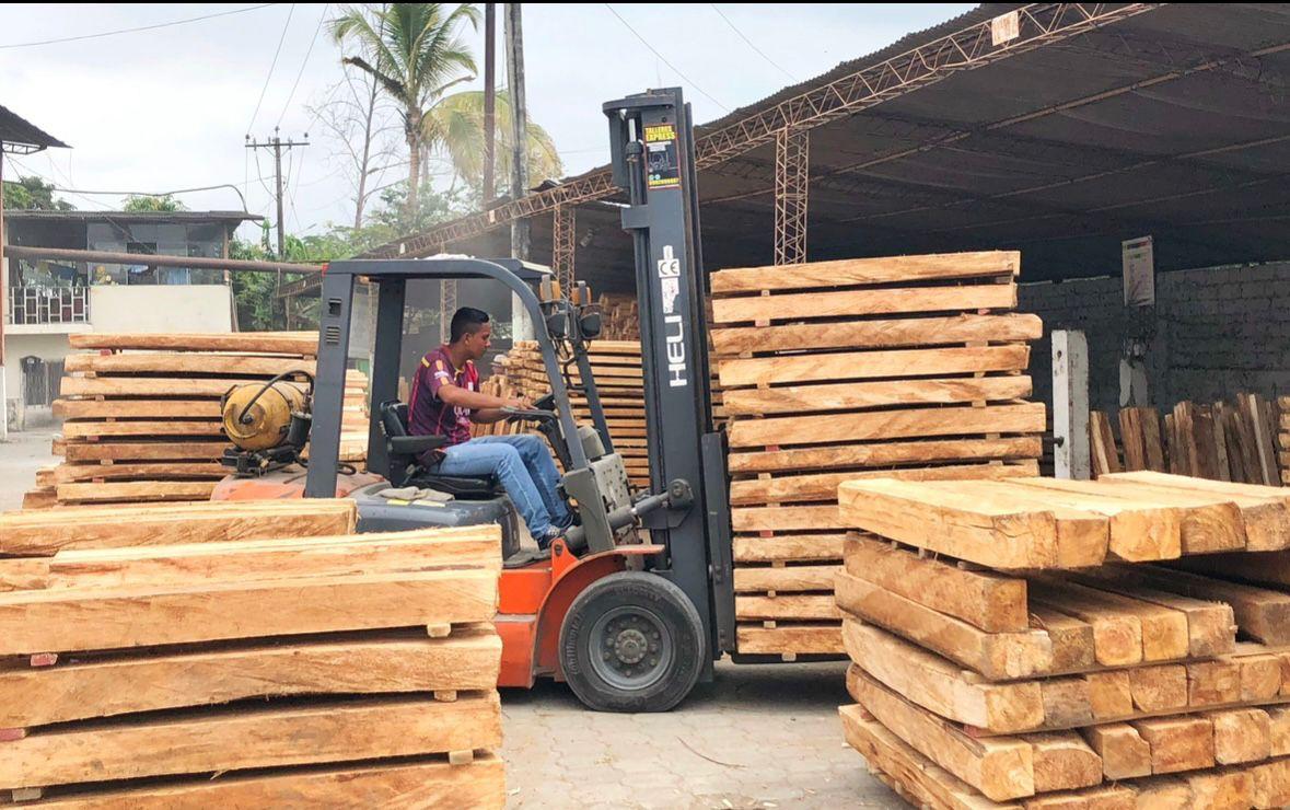 Patio de recepción y secado de madera de balsa